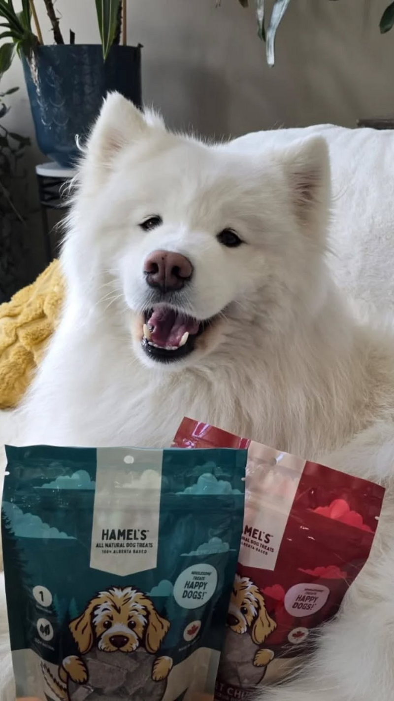 - Delta and The Dingos