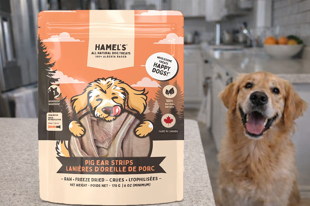 Safety & Transparency First