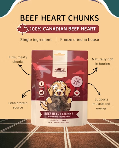 Beef Heart Chunks 100 gram