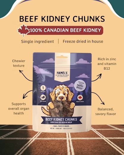 Beef Kidney Chunks 100 gram