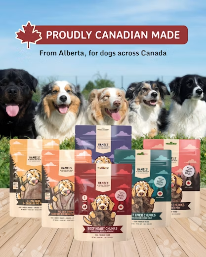 10 Pack Bundle (Save 25% & FREE Shipping)