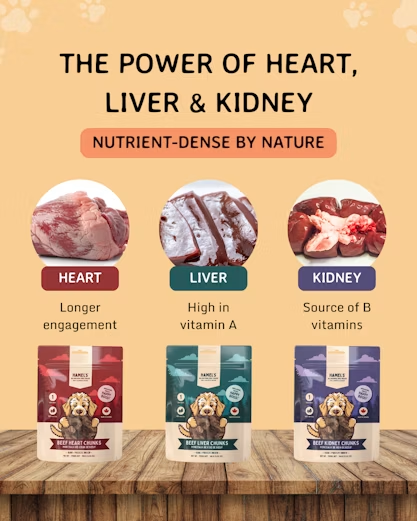 10 Pack Bundle (Save 25% & FREE Shipping)