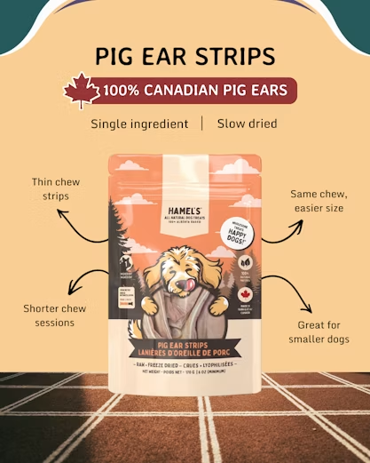 Pig Ear Strips Dog Chews