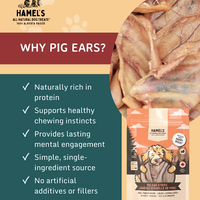 Pig Ear Strips Dog Chews